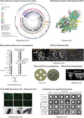 Editorial: Lactic Acid Bacteria: Microbial Metabolism and Expanding Applications